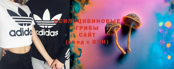 прущие крисы Арсеньев